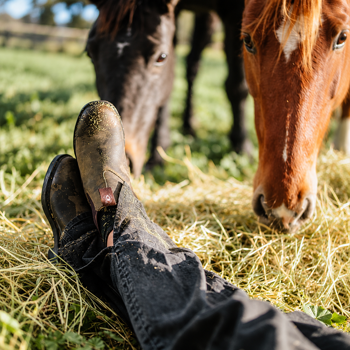 Redback Whistler Boot Iron Bark