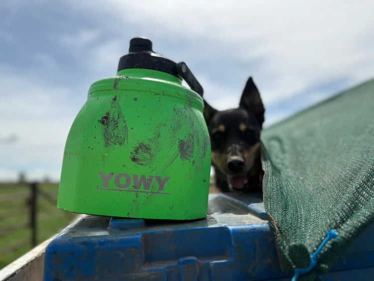 YOWY WATERCAN 6L BOTTLE
