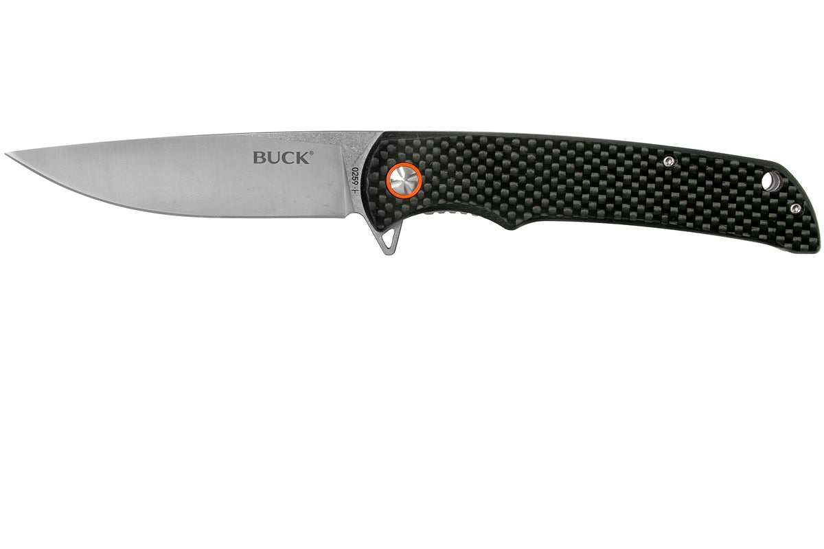 Buck Haxby Folding Knife