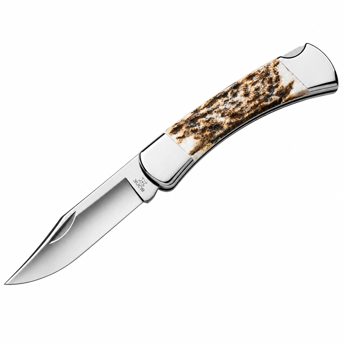 Buck Folder Stag Handle *Limited Edition*