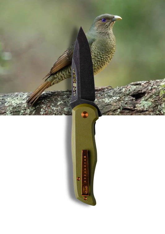 Koi "Bek" The Bowerbird Folder