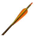 PATRIOT CARBON ARROW