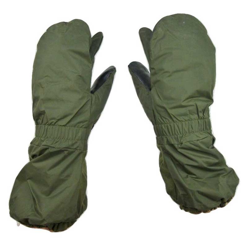 French Cold Weather Gloves