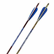 CARBON COMPOSITE VULCAN ARROW