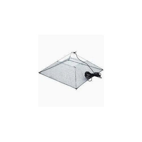 Pyramid Bait Trap