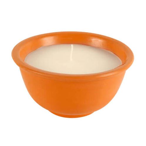 Dragonfly TERRACOTTA POT SANDALWOOD CITRONELLA CANDLE